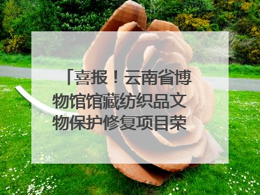喜报！云南省博物馆馆藏纺织品文物保护修复项目荣获全国十佳